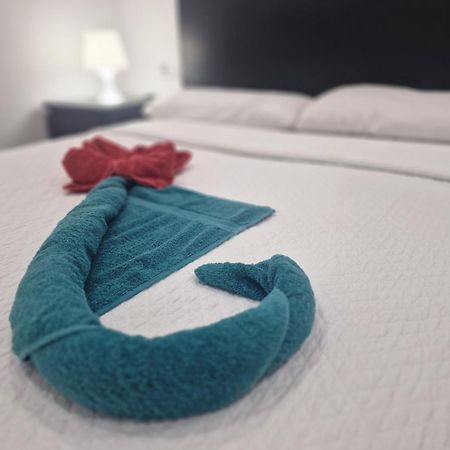 Barcelona,Apartamento Con Terraza Apartment L'Hospitalet de Llobregat Ngoại thất bức ảnh