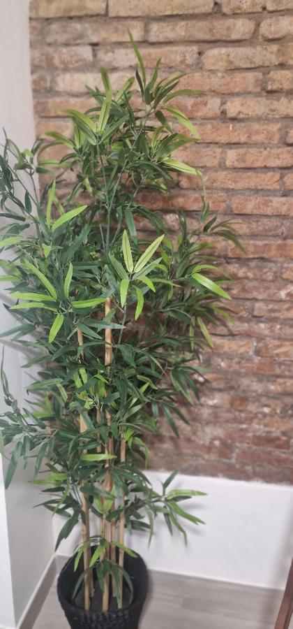 Barcelona,Apartamento Con Terraza Apartment L'Hospitalet de Llobregat Ngoại thất bức ảnh